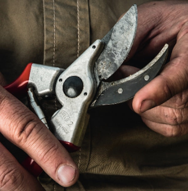 Pruning Shears