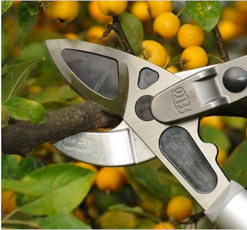 FELCO 231 Two-hand pruning shear | Lever-action lopper with curved anvil